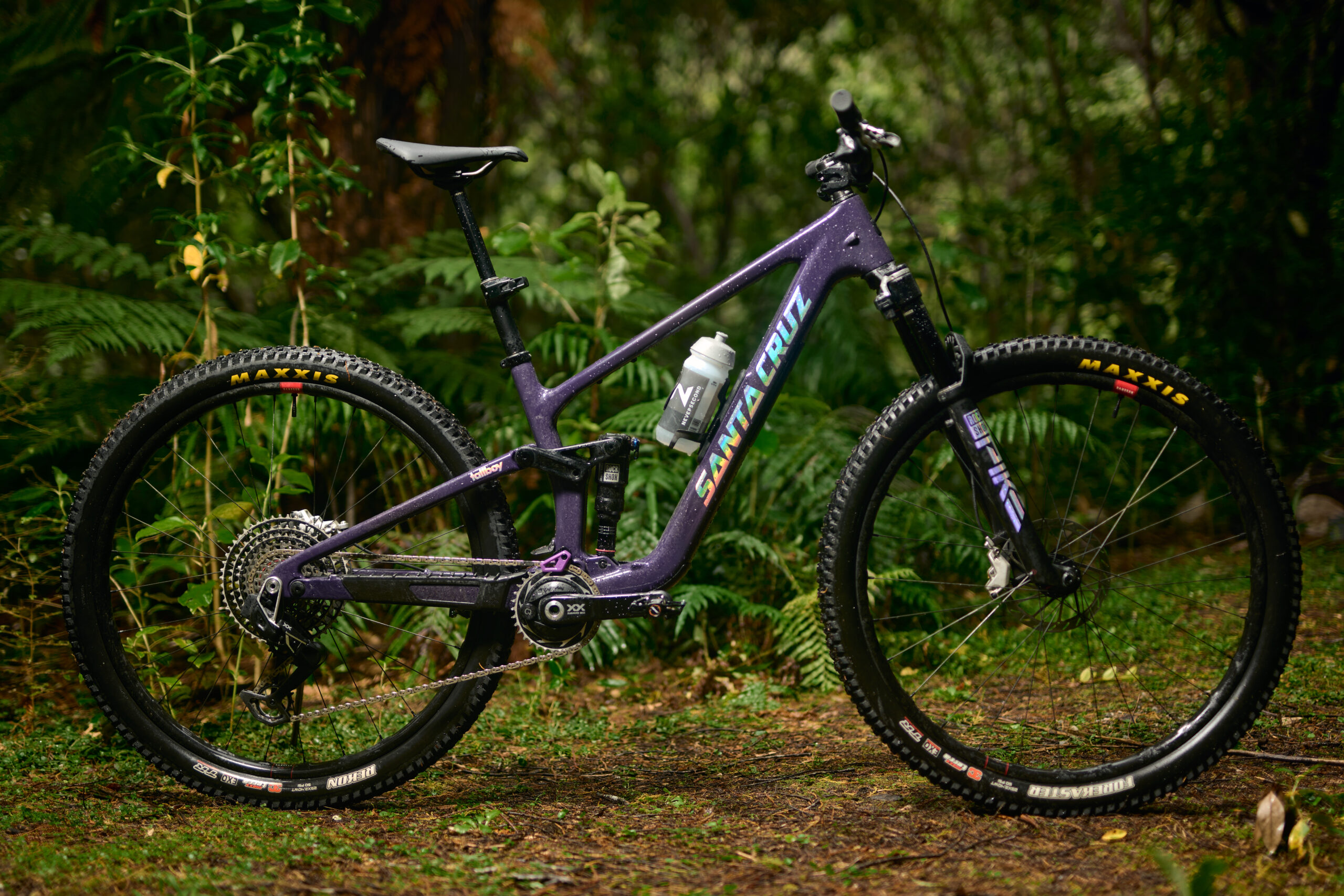 Santa Cruz Tallboy